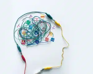 Visual representation of how ChatGPT, Perplexity, Grok, and Gemini collect and verify business information for Generative Engine Optimization