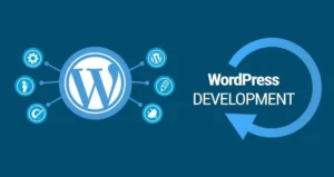 Custom WordPress theme development from Wedū Media: Invest in a Custom WordPress business theme today!