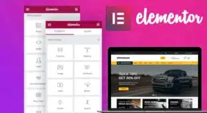 Elementor (Pro) WordPress Website Builder